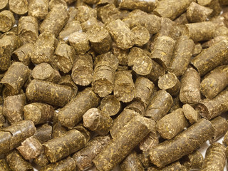 herbs granules background. food for horse and farm animal