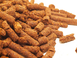 sea buckthorn meal granules. food for horse