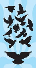 Dove / Pigeon Silhouettes