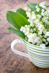 Lily of the valley spring flowers