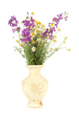 Bouquet of wild flowers in vase, isolated on white