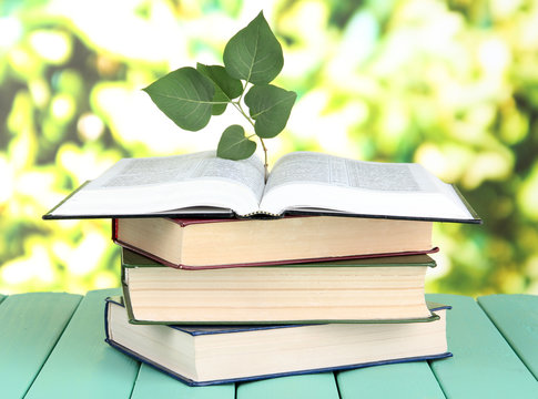 Books with plant on table on bright background