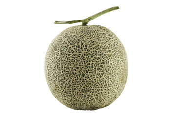 cantaloupe melon isolate