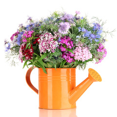 Beautiful bouquet in watering can isolated on white