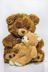 Mother bear with cubs