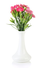 Bouquet of carnations in vase, isolated on white