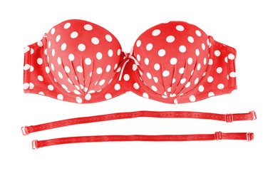 Color female bra, isolated on white