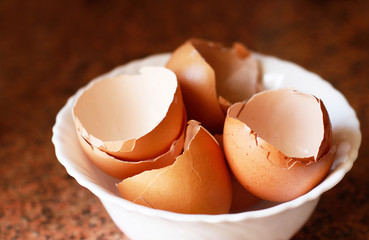 Empty eggshell in a white bowl