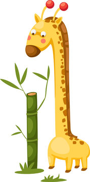 cute giraffe with bamboo