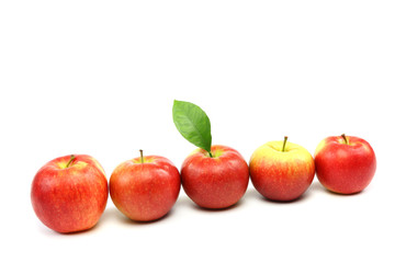 Fresh red apples isolated on white background.