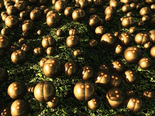 Fototapeta premium Microbe