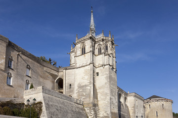 Fototapeta na wymiar Castle of Amboise, Indre et Loira, Centre, France