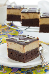 Brownies with peanuts and chocolate.