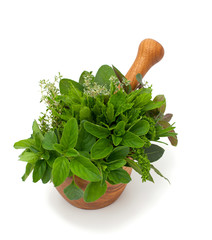 fresh herbs in wooden mortar