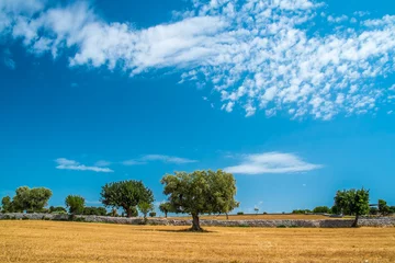 Fototapete Sommer Sheaves of straw, Apulia region