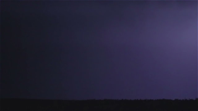 Lightning bolts strike forest night landscape, sound included