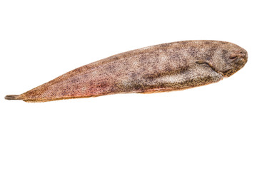 Fish Dover sole