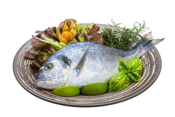 Fresh raw dorada