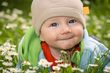 Baby auf der Blumenwiese