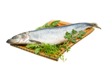 Marinated herring with herbs