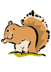Eichhörnchen