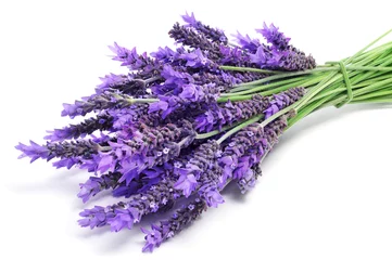 Foto op Aluminium lavendel bloemen © nito