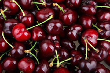 Sweet cherry