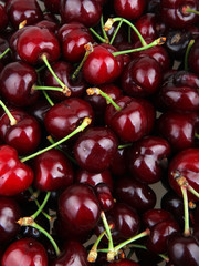 Sweet cherry