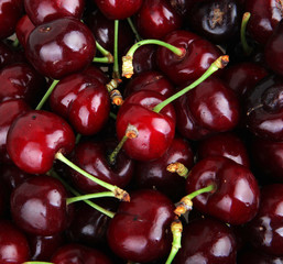 Sweet cherry