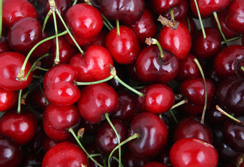 Sweet cherry