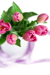 Obraz na płótnie Canvas Pink tulips
