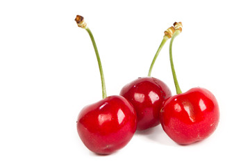 cherries over white background
