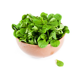 Bowl with salad leaves