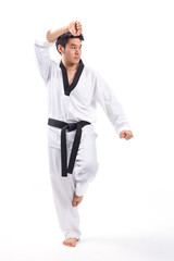 taekwondo action