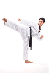 taekwondo action