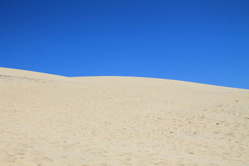 Fototapeta na wymiar la dune du Pyla ou Pilat