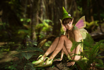 In the Fairy Forest