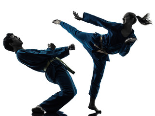 karate vietvodao martial arts man woman couple silhouette © snaptitude