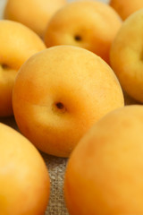 Apricot.