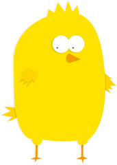 Yellow little baby chicken