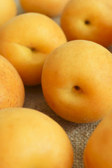 Apricot.