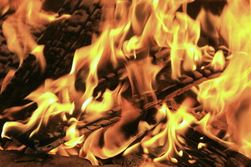 Burning fire close-up, fireplace