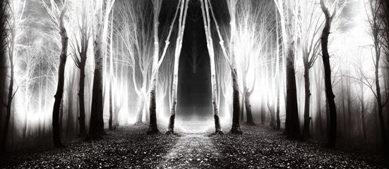 Foto op Aluminium Donkere, sprookjesachtige paden in het bos op een mistige herfstdag © bonciutoma