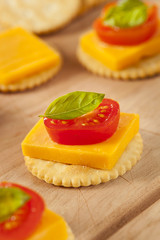 Chedder Cheese and Cracker Appetizer