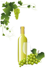 Weißwein und Trauben