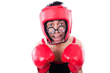 Funny boxer isolated on the white background