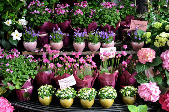 Flower shop