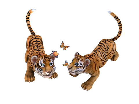 Two cute tiger cubs playing with butterflies