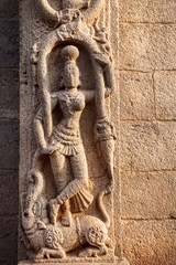 Hindu goddess on the wall in India