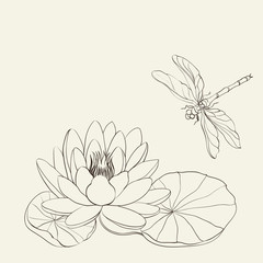 Water Lily and dragonfly.
